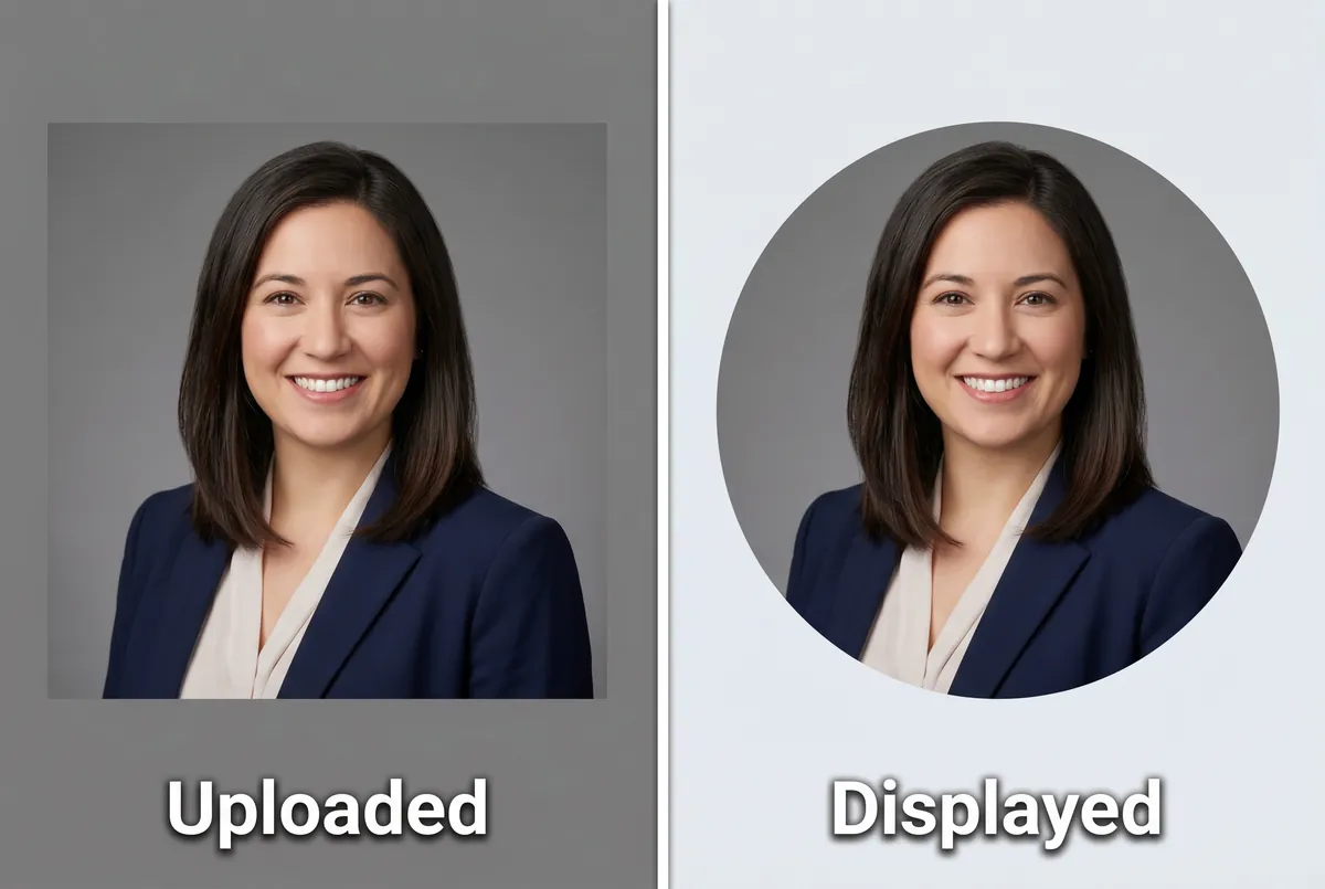 linkedin profile picture size circular crop showing uploaded square versus displayed circle